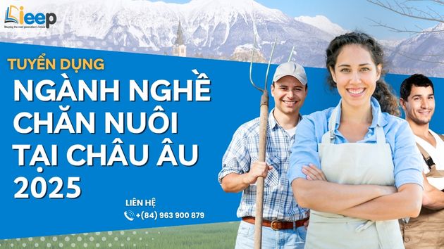 tuyển dụng châu âu.jpg